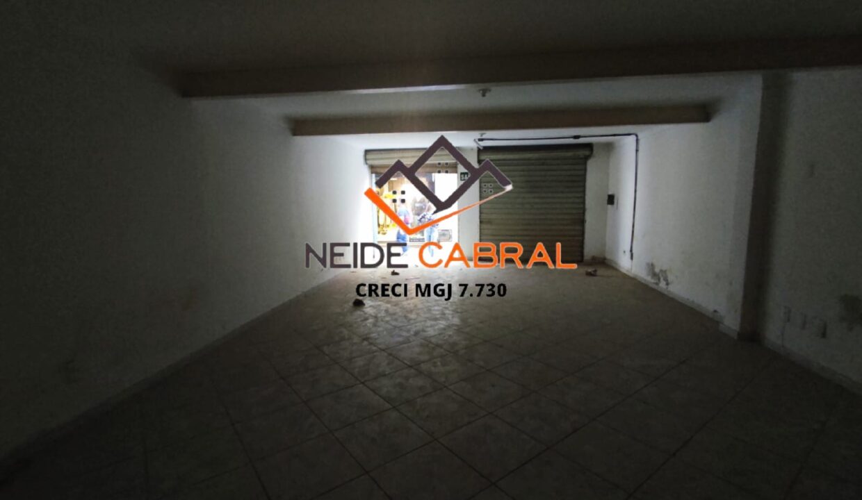 Neide 11 2