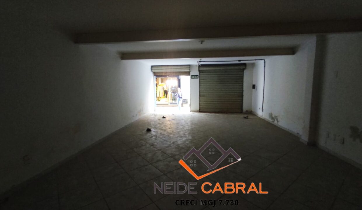 Neide 11 3