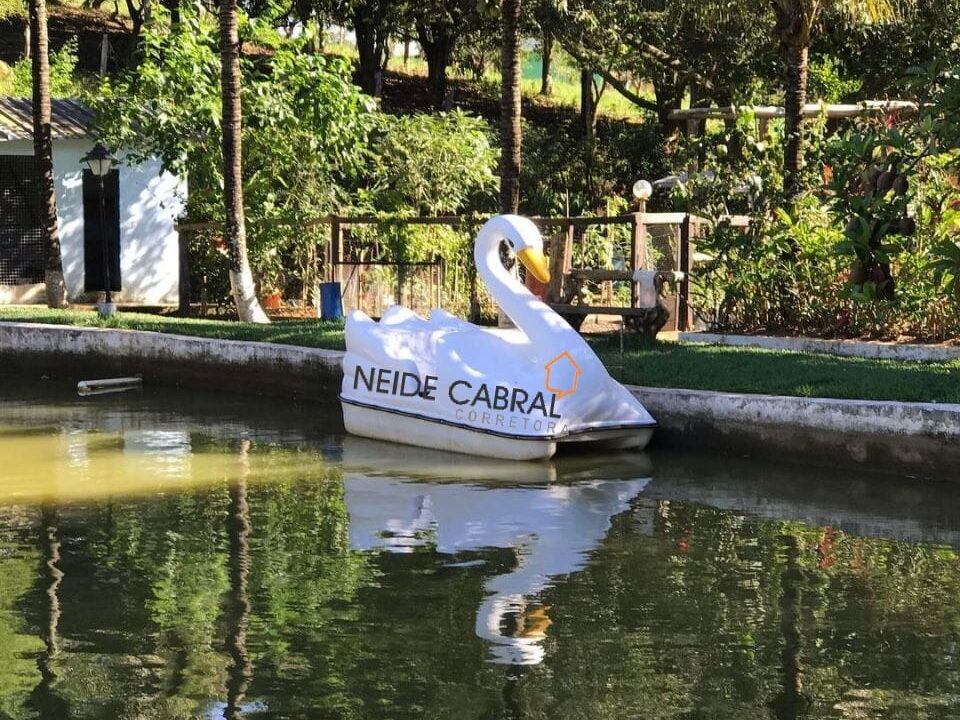 Neide 22 5