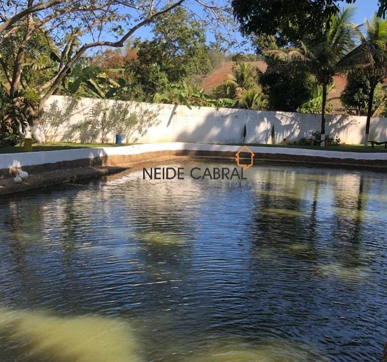 Neide 22 6