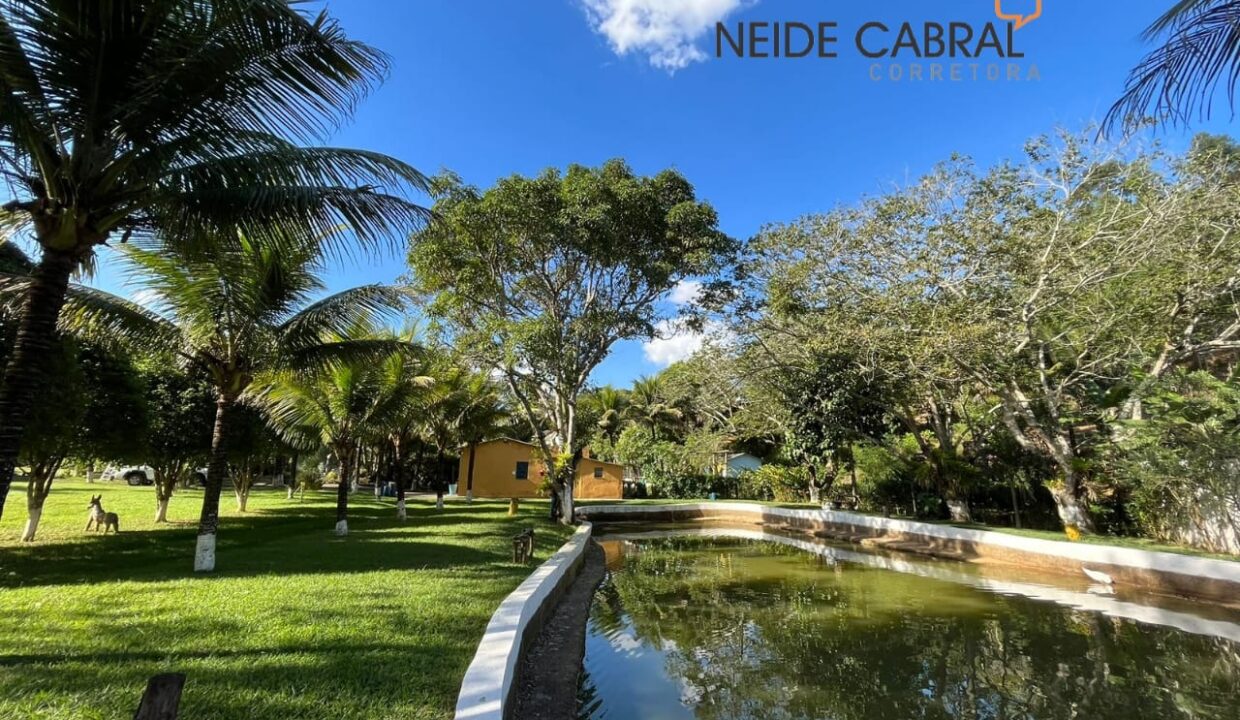Neide 22 8