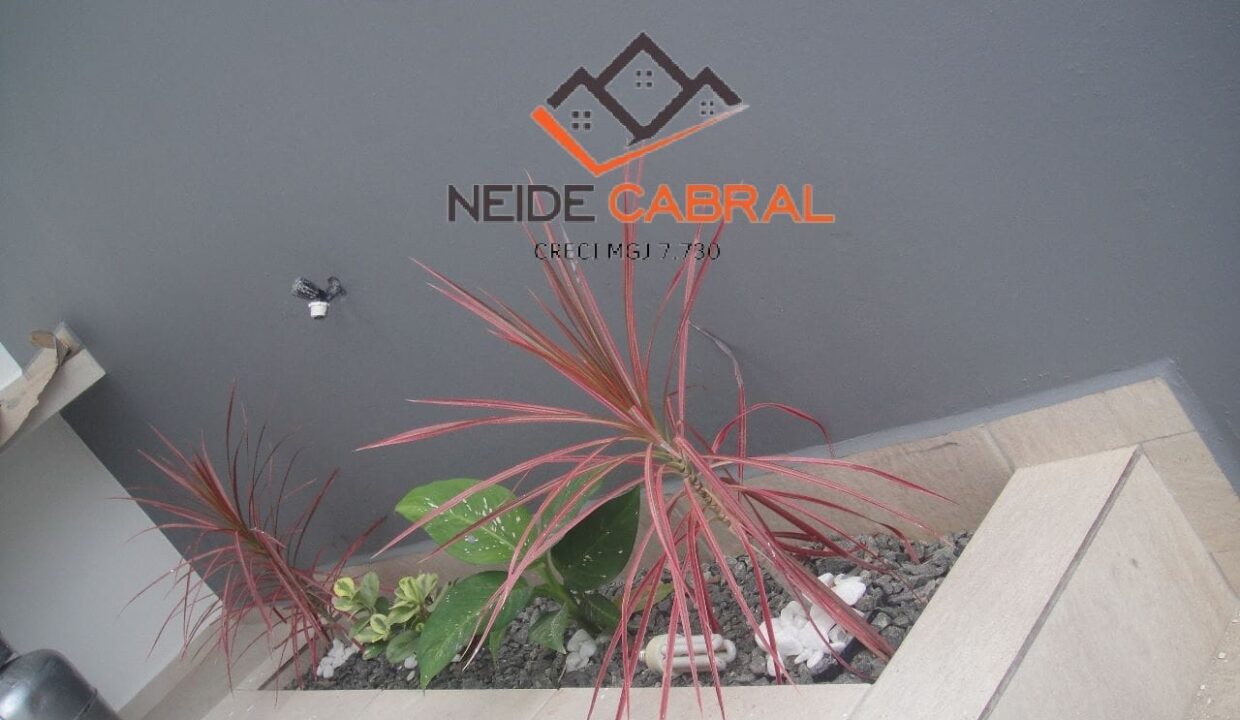 Neide 31 10