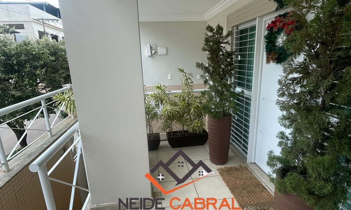 Neide 33 10