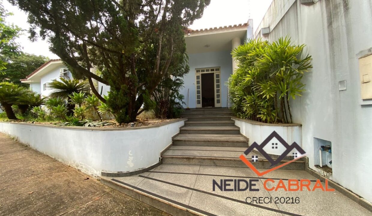 Neide 43 1
