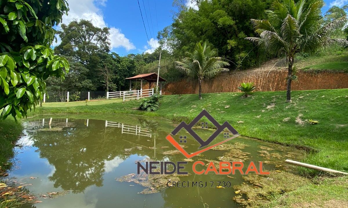 Neide 8 4