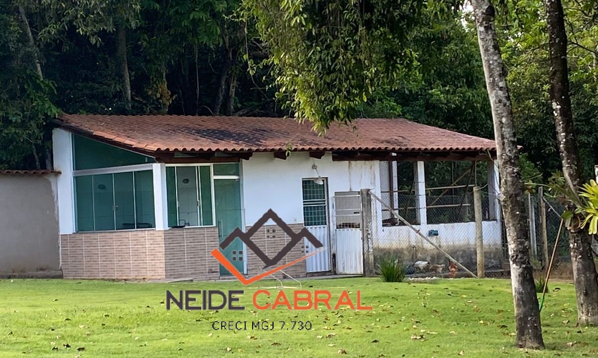 Neide 8 5