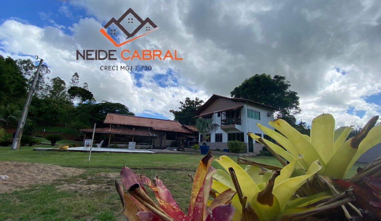 Neide 8 9